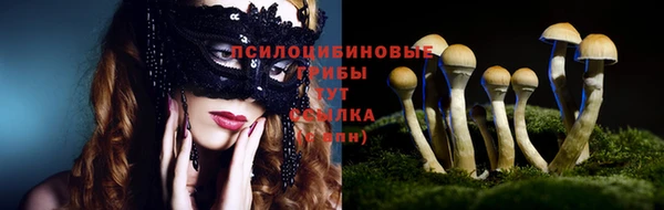 герыч Дмитриев