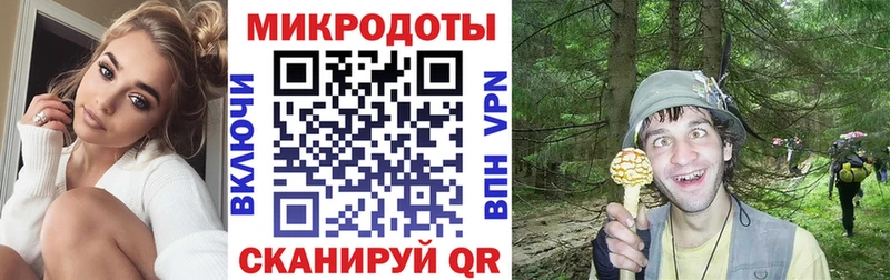 Купить где  Котово  Галлюциногенные грибы Magic Shrooms 